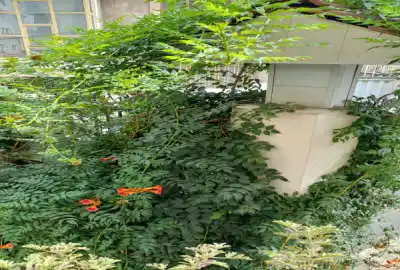 فروش زمین مسکونی قابل ساخت و ساز خیابان سیدالشهدا ۳۰۰ متر