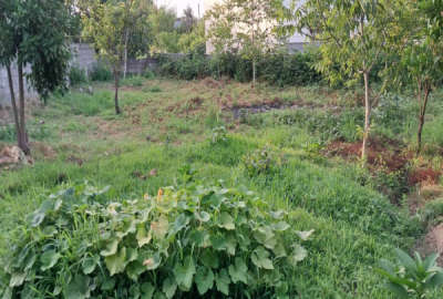 فروش زمین بافت مسکونی لزربن خیابان شهید محمدی ۲۷۰ متر