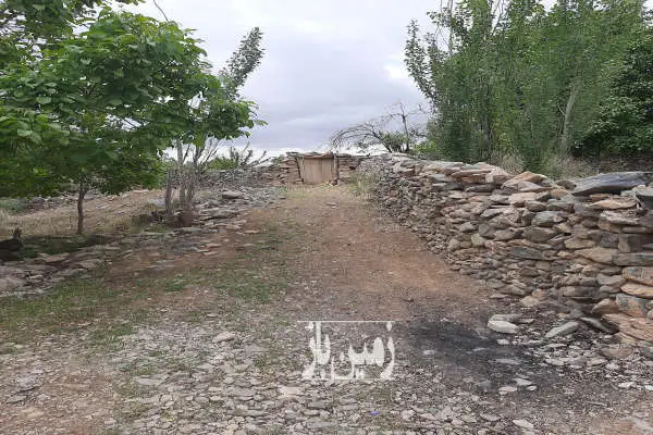 فروش باغ ۵۳۰ متر نزدیک رودخانه روستای کشه سینه طرق - تصویر 2