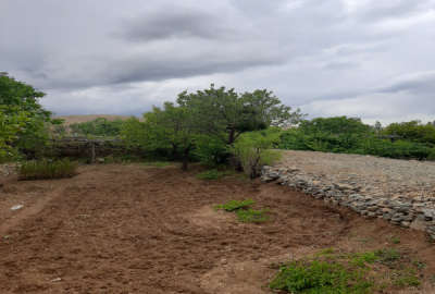 فروش باغ ۵۳۰ متر نزدیک رودخانه روستای کشه سینه طرق