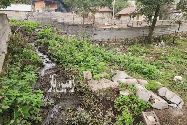 فروش زمین باغی در سوادکوه سرخ آباد روستای مالیدره ۷۴۵ متر - تصویر 2