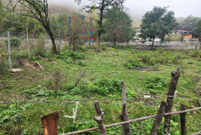 فروش زمین باغی در سوادکوه سرخ آباد روستای مالیدره ۷۴۵ متر