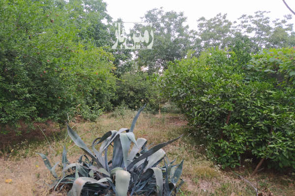 فروش زمین مسکونی ۳۲۴ متری دارای سند داخل بافت-1