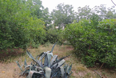 فروش زمین مسکونی ۳۲۴ متری دارای سند داخل بافت