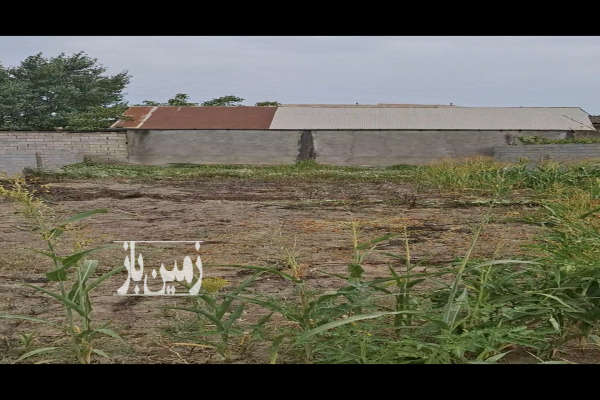 فروش زمین داخل بافت ۲۰۴ متری روستای نی کلا-2