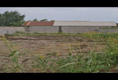 فروش زمین داخل بافت ۲۰۴ متری روستای نی کلا