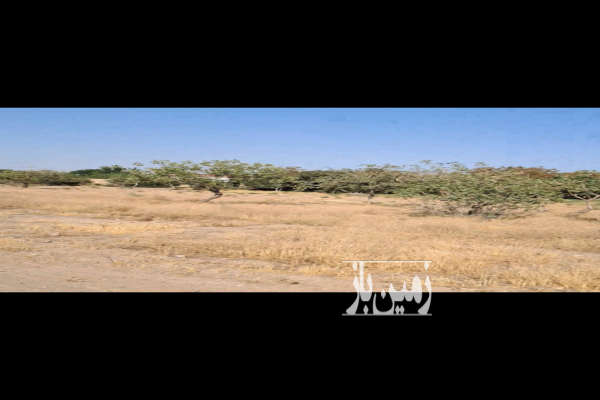 فروش زمین مسکونی ۲۰۰۰ متر بویین زهراروستای امین اباد-2