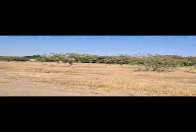 فروش زمین مسکونی ۲۰۰۰ متر بویین زهراروستای امین اباد
