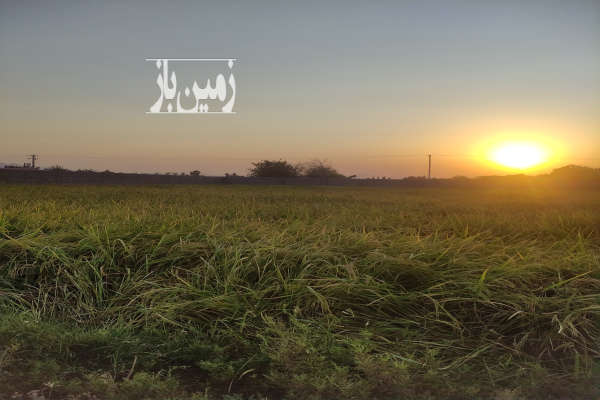 فروش زمین کشاورزی ۶۰۰۰ متر مربع شهر زیار-4