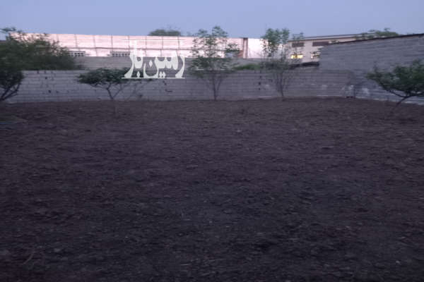 زمین مسکونی ۲۱۵ متر در قائمشهر چمازکتی-2