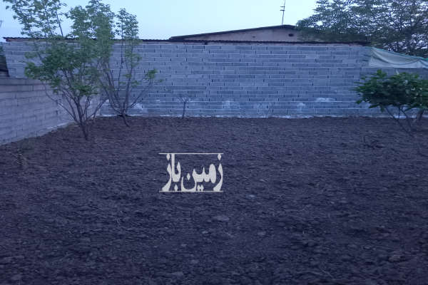 زمین مسکونی ۲۱۵ متر در قائمشهر چمازکتی-3