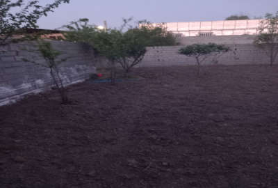 زمین مسکونی ۲۱۵ متر در قائمشهر چمازکتی