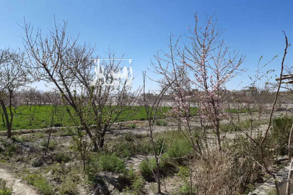 فروش زمین کشاورزی باغی اجگرد بر رودخانه زاینده رود ۱۴۲۰ متر-2