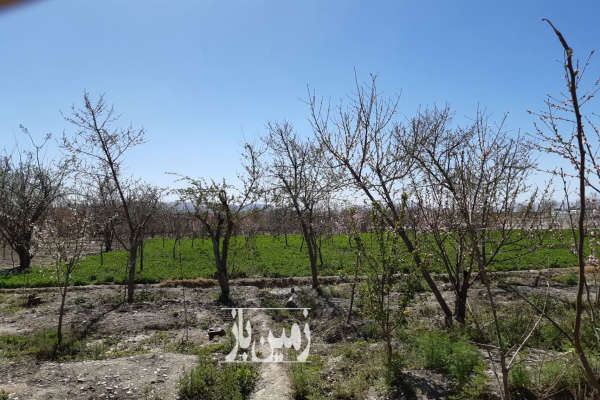 فروش زمین کشاورزی باغی اجگرد بر رودخانه زاینده رود ۱۴۲۰ متر-3