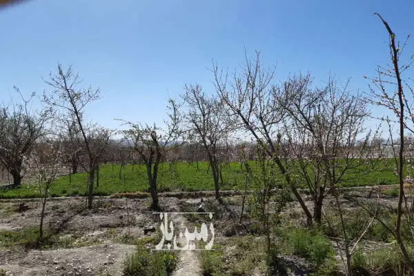 فروش زمین کشاورزی باغی اجگرد بر رودخانه زاینده رود ۱۴۲۰ متر - تصویر 2
