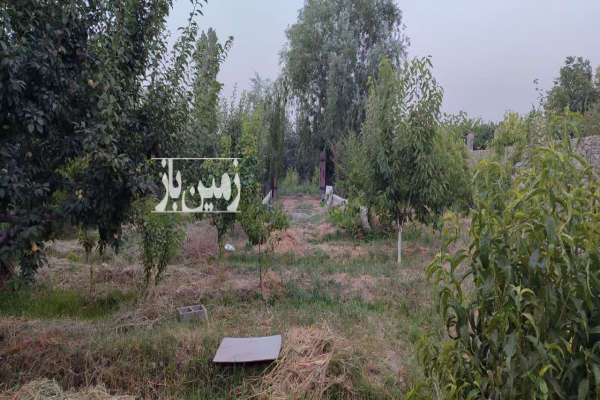 فروش باغچه ۶۶۰ متری قاسم اباد بزرگ خیابان ارکیده-2