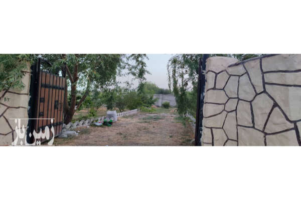 فروش باغچه ۶۶۰ متری قاسم اباد بزرگ خیابان ارکیده-4