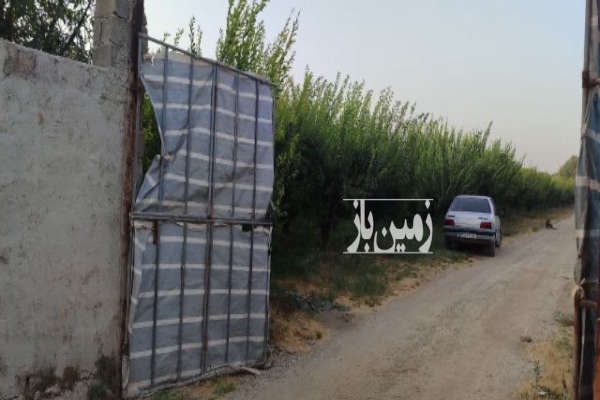 فروش باغ میوه در قاسم اباد بزرگ خیابان گلستان-2