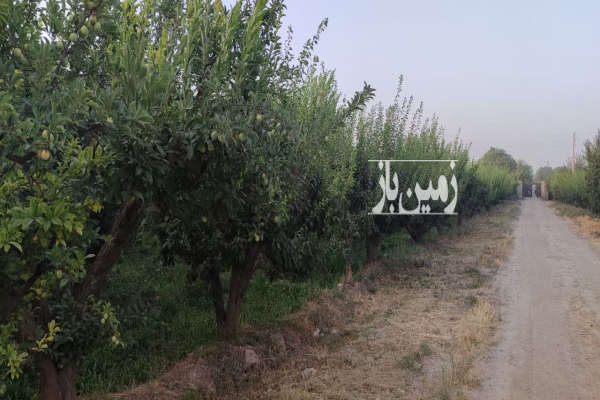 فروش باغ میوه در قاسم اباد بزرگ خیابان گلستان-3