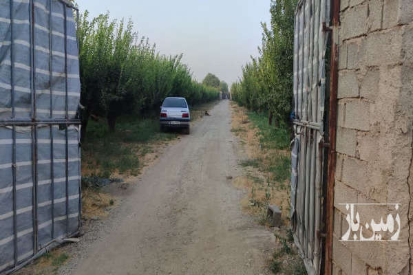 فروش باغ میوه در قاسم اباد بزرگ خیابان گلستان-4