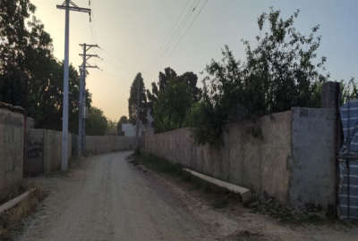 فروش باغ میوه در قاسم اباد بزرگ خیابان گلستان