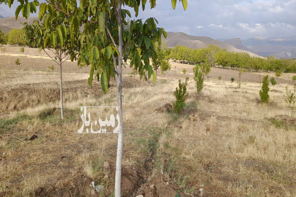 فروش زمین مسکونی ۴۵۰۰ در منطقه چایپاره روستای گره کهریز-2