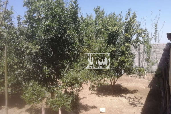 فروش باغ ۱۲۰ متر مازندران کمربندی غربی امیرکبیر روستای مرزون آباد-3