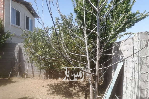 فروش باغ ۱۲۰ متر مازندران کمربندی غربی امیرکبیر روستای مرزون آباد-4