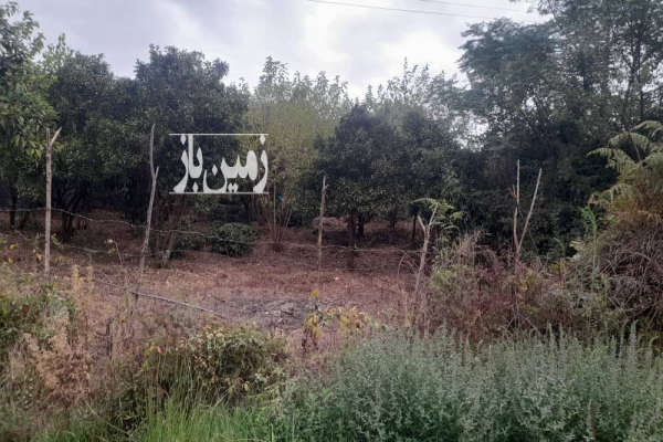 فروش زمین در کومله روستای کولاک محله ۲۵۳ متر-4