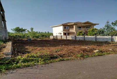 فروش زمین مسکونی شهرکی تنکابن شیرود شریف آباد ۳۱۰ متر