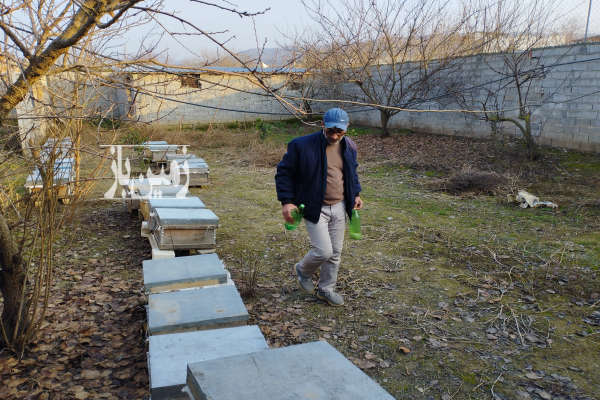 فروش زمین مسکونی ۳۹۰ متری داخل بافت روستای مرمت-3