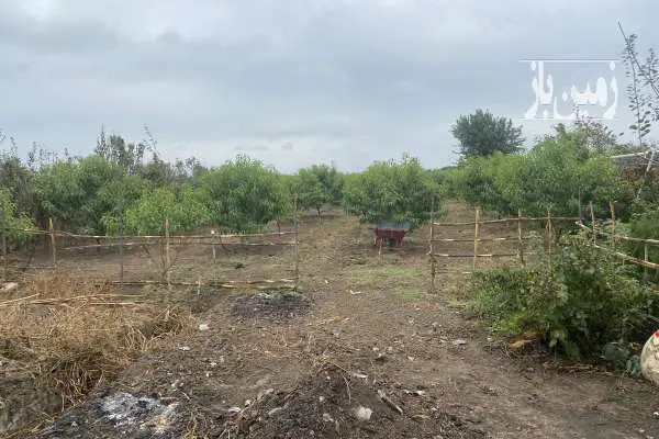 فروش زمین مسکونی ۱۹۱۰ متر در روستای گلنشین - تصویر 3