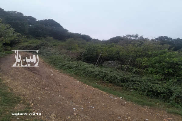 فروش زمین باغی حدودا ۱۰۰ تا نهال روستای پایین کولا ۲۰۸۰ متر-1