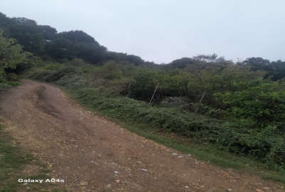 فروش زمین باغی حدودا ۱۰۰ تا نهال روستای پایین کولا ۲۰۸۰ متر