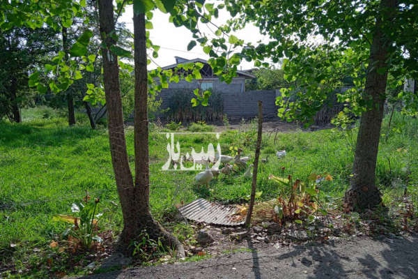 فروش زمین در رشت جاده فومن ۶۰۰ متر-4