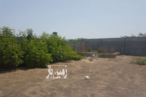 فروش ۷۵۰ متر خونه باغ در روستای معاف انزلی-1