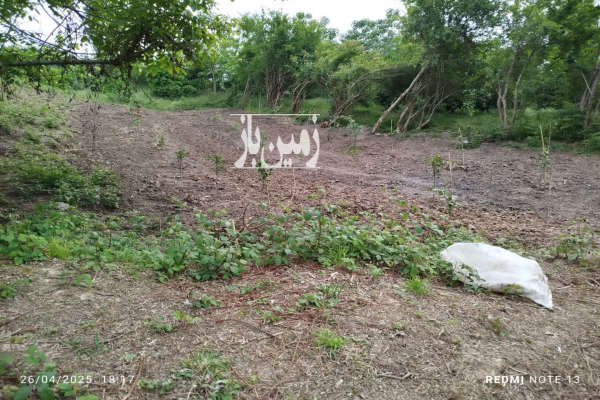 فروش ۱۸۰۰ متر زمین چسبیده به بافت روستای مرزناک-2