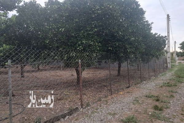 فروش زمین اتوبان قائمشهر به ساری پل ارطه کفشگرکلاه ۱۰۰۰ متر-2