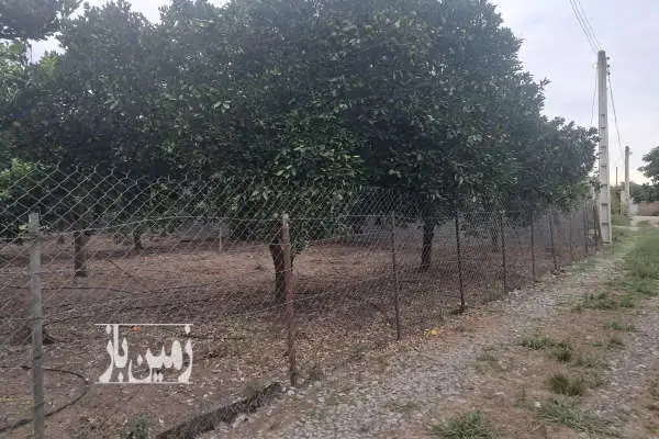 فروش زمین اتوبان قائمشهر به ساری پل ارطه کفشگرکلاه ۱۰۰۰ متر - تصویر 2