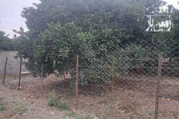 فروش زمین اتوبان قائمشهر به ساری پل ارطه کفشگرکلاه ۱۰۰۰ متر - تصویر 3