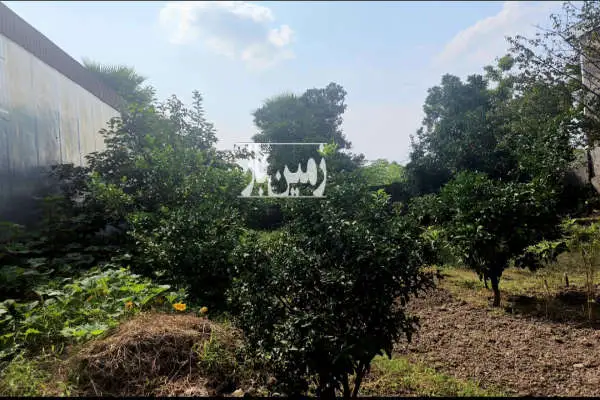 فروش زمین قادی محله لاله ۳۳۸ متر - تصویر 2