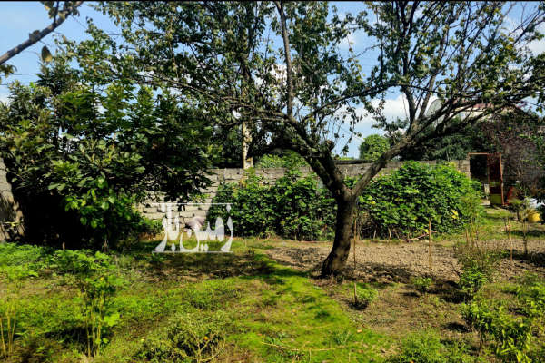 فروش زمین قادی محله لاله ۳۳۸ متر-4