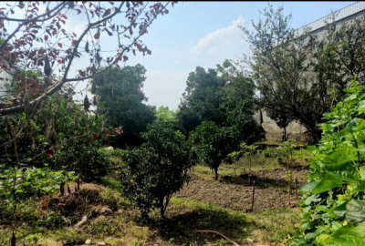 فروش زمین قادی محله لاله ۳۳۸ متر