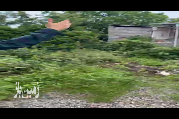 فروش زمین داخل شهرک امام زاده عبدالله روستای تلیران ۲۱۲ متر-4