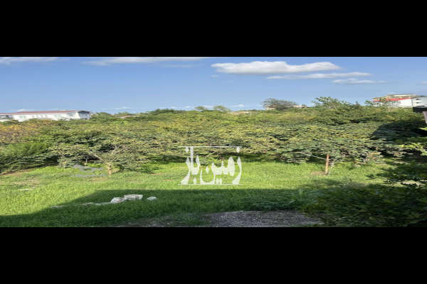 فروش ۴۵۸ متر زمین مسکونی خیابان اصلی خرم آباد به تنکابن-2