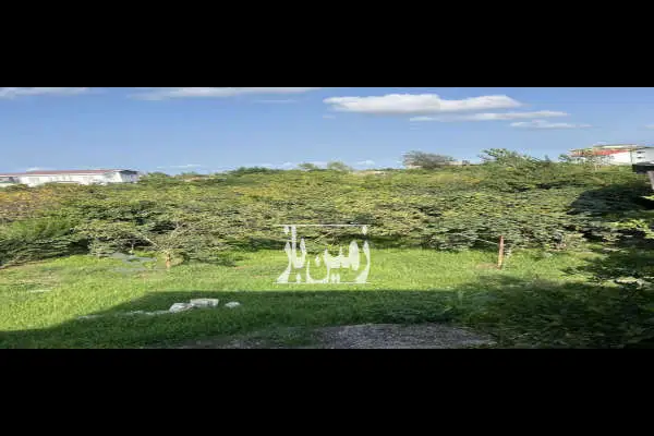 فروش ۴۵۸ متر زمین مسکونی خیابان اصلی خرم آباد به تنکابن - تصویر 2