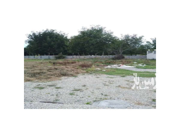 فروش زمین مسکونی ۵۰۰ متری در لشسر کلاردشت-4