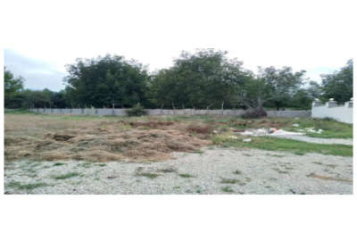 فروش زمین مسکونی ۵۰۰ متری در لشسر کلاردشت