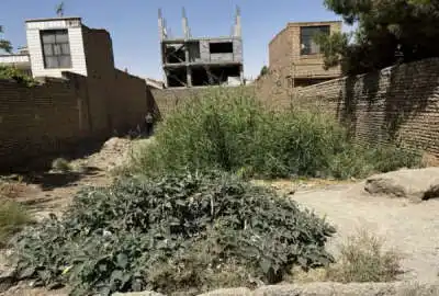فروش زمین ۳۳۰ متری در بافت مسکونی شریف آباد بلوار ولایت
