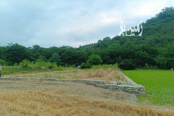 فروش زمین کشاورزی ۷۰۰ متر روستای بالاجاده-1